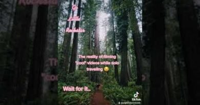 The Reality of Traveling Alone and Solo #shorts #nature #travel