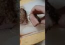 New York Strip Dinner Plate  #cookingathome #food #beefcuts #cooking #foodie