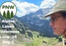 Icicle Ridge Alpine Wonder
