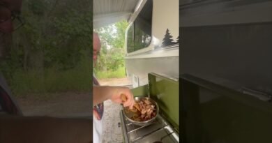 RV Travel VLOG Camp Cooking Skirt Steak Mashed Potatoes with Mayo #VLOG #fulltimerving #camping
