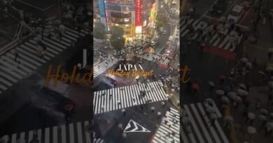 How Much Money Do You Really Need in Japan? #budgettravel