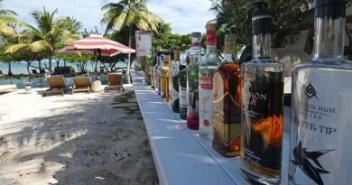 The 7 Best Central America Rum Brands